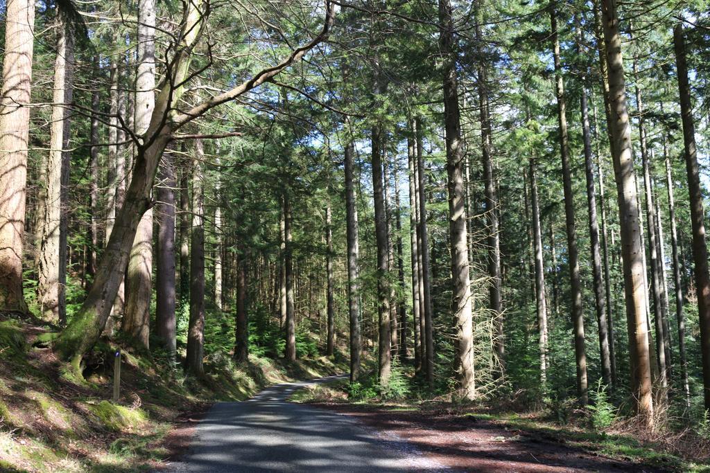 Bod Gwynedd Bed And Breakfast Betws-y-Coed Exteriör bild