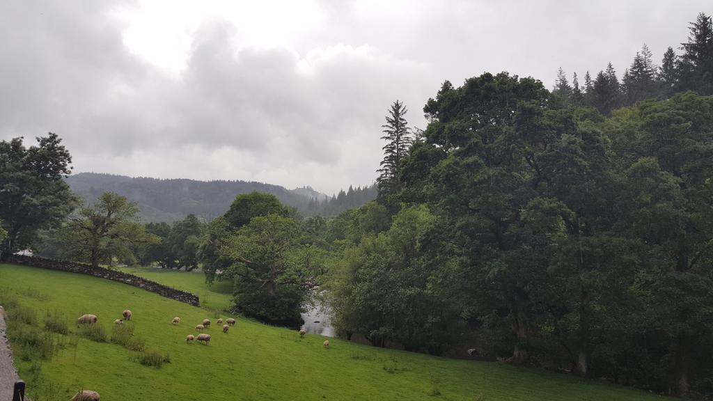 Bod Gwynedd Bed And Breakfast Betws-y-Coed Exteriör bild