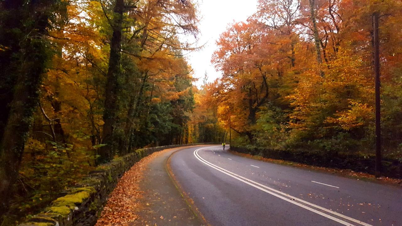 Bod Gwynedd Bed And Breakfast Betws-y-Coed Exteriör bild